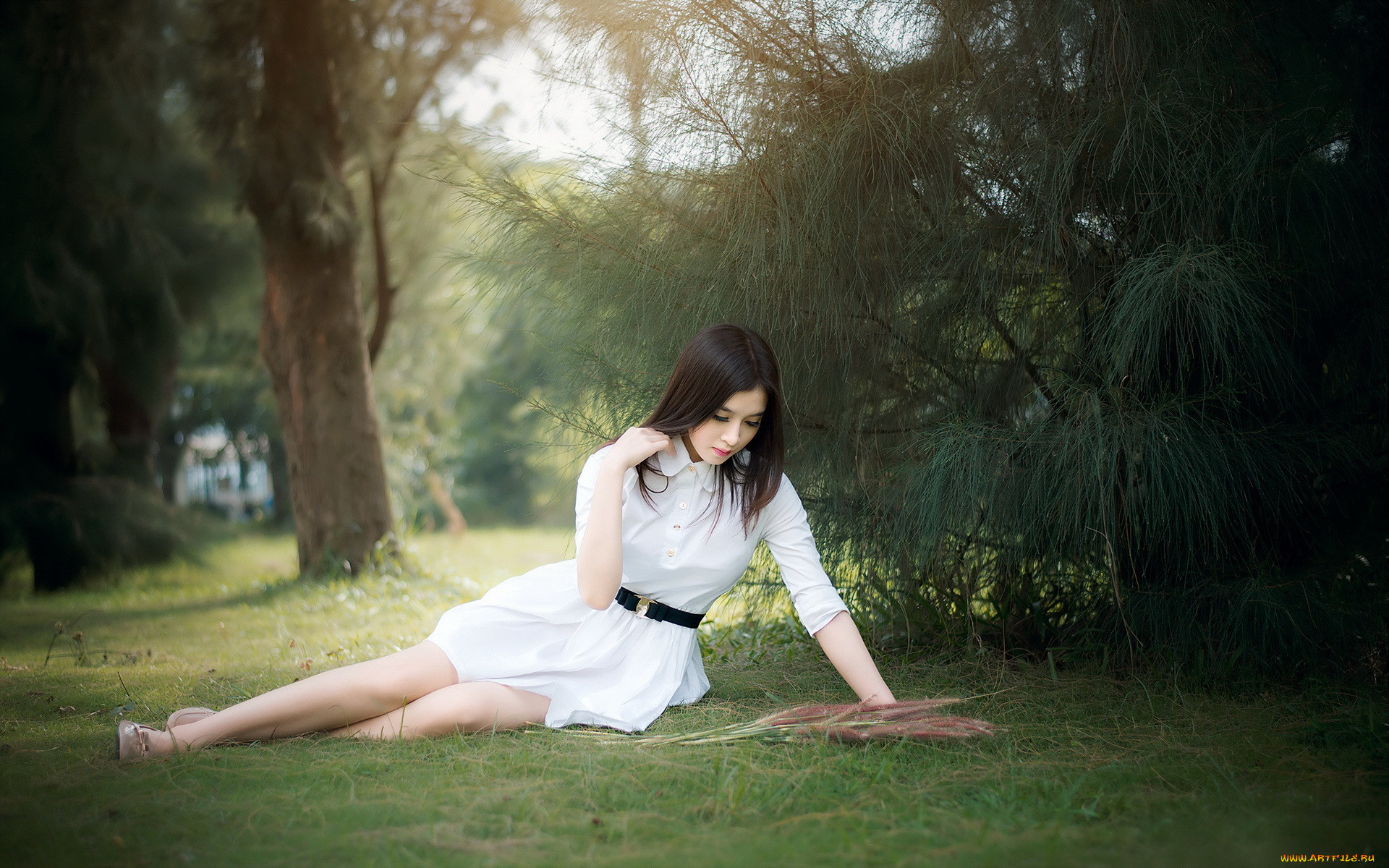 , -unsort , , , , , 
